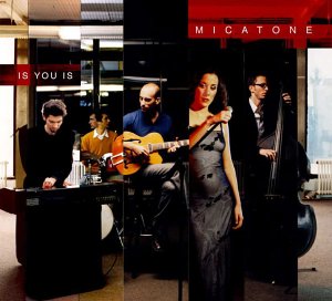 Micatone - Shake It Baby